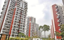 Làm môi giới bất động sản nhưng mua nhà vẫn chật vật: Câu chuyện 3 lần xuống tiền và những bài học đắt giá về thời điểm