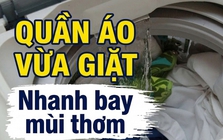 Vì sao quần áo mới giặt xong lại nhanh bay mùi thơm?