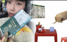 Du khách quốc tế truyền tai nhau mẹo ăn ngon ở Việt Nam: Bàn nhựa, ghế đỏ và chó béo