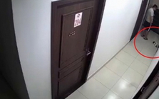 Xôn xao nam thanh niên đá chết chú chó rồi bỏ vào thùng rác chung cư ở Hải Phòng: Người đăng clip lên tiếng