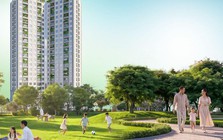 Viha Flora và chuẩn bàn giao hạng A: Giá trị thật nằm ở những chi tiết nhỏ