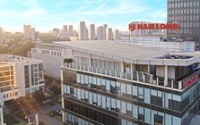 Nam Long sắp chi hơn 240 tỷ đồng trả cổ tức năm 2025