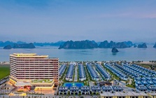 CEO Group chốt ngày phát hành hơn 28 triệu cổ phiếu trả cổ tức