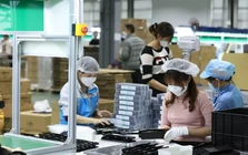 Một năm thông qua 89 luật, cắt giảm hơn 3.000 quy định: Doanh nghiệp nói gì?