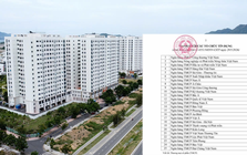 Nới tín dụng cho "phân khúc bất động sản thiết thực"