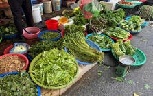 5 loại rau đang đúng mùa, đi chợ thấy là nên mua