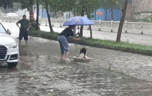 Đoạn clip vài giây trên phố ngày mưa ngập khiến hàng ngàn người ghen tỵ: Thật là 1 đứa trẻ GIÀU CÓ!