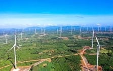 "Siêu công trình" điện gió 16.500 tỷ đồng, lớn bậc nhất Việt Nam