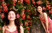 Loài hoa "ảo diệu" đổi 3 màu trong ngày: Trồng đúng cách, sử quân tử thơm ngát ban công suốt 5 tháng không ngừng nghỉ