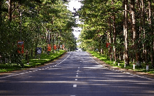 Thông tin về 2 sân bay tại tỉnh sở hữu “Đà Lạt thứ 2”: 1 trên núi và 1 trên biển