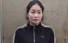 Nữ quái lừa đảo làm thủ tục đất đai, chiếm đoạt nhiều tỷ đồng