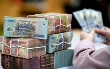 Lãi suất ngân hàng 23/6 tại MB, HDBank, Sacombank, Agribank, Vietcombank, BIDV, VietinBank,...