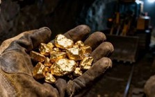 Đại gia đào vàng lớn nhất Việt Nam sắp trả cổ tức tỷ lệ 90,5%