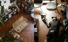 Căn hộ 35m2 có gác xép của chàng trai 37 tuổi mê trồng cây, đang sống cùng hai chú mèo