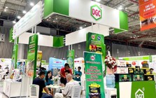 Hóa chất Đức Giang dự kiến thời gian khắc phục ý kiến ngoại trừ của kiểm toán về hàng tồn kho