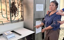 Bắt đối tượng Nguyễn Thị Liệu 52 tuổi