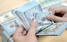 Ngân hàng Nhà nước ra khuyến cáo khẩn đến toàn bộ người dân mua bán ngoại tệ