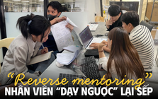 Thời thế thay đổi: Dân văn phòng trở thành cố vấn cho lãnh đạo cấp cao, “dạy” sếp đủ thứ hay ho mới mẻ