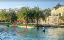 Phục hồi điều tra vụ bé 11 tuổi người Nhật tử vong ở hồ bơi tại resort