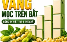 Được GS.TS Trần Đình Long ví như “vàng mọc trên đất”, loài cây này giúp một doanh nghiệp Việt vào Top 5 thế giới, doanh thu hơn 4.100 tỷ đồng/năm
