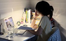 4 con giáp có tố chất lãnh đạo từ khi còn đi học