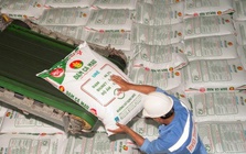 Đạm Cà Mau chốt chi hơn 1.000 tỷ đồng trả cổ tức trong tháng 7