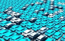 Lý do hàng nghìn xe VinFast xuất hiện tại cảng Trung Quốc