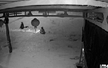 3 người phụ nữ bị nước cuốn trôi trong cơn mưa lớn đã được cứu: Camera ghi lại những gì?