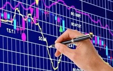 Sao Thăng Long giải trình việc cổ phiếu DST tăng trần 5 phiên liên tiếp