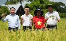 Vượt nửa vòng Trái đất đến Cuba: Kỹ sư Việt bắt tay làm ngay 1 việc, kỳ tích xuất hiện vào tháng 5/2026