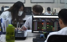Cổ phiếu tăng giá áp đảo, VN-Index vẫn giảm 7 phiên liên tiếp