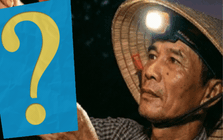 Nửa đêm thu hoạch, rạng sáng xuất khẩu: Loại quả này của Việt Nam đang được Trung Quốc săn đón đặc biệt