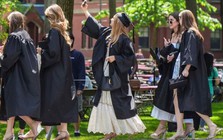 Thời vàng son của ngành khoa học máy tính đã qua: Sinh viên tốt nghiệp Đại học New York than trời, nộp CV 8.000 lần vẫn chưa có nổi một việc làm fulltime