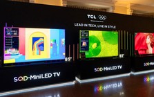 Top 4 mẫu TV cao cấp đáng sở hữu nhất mùa World Cup 2026