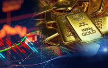 Tiền đang chảy vào kênh đầu tư nào?