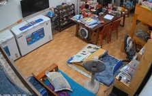 Cún cưng đi lạc, con trai đi đi lại trong phòng rồi làm hành động khiến mẹ cắt camera đăng khắp nơi