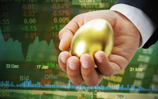 VinaCapital: Hơn 70% số cổ phiếu đang ở vùng định giá thấp như các giai đoạn khủng hoảng