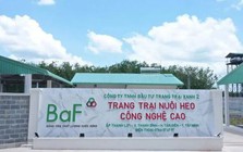 Baf Việt Nam chốt quyền nhận cổ phiếu thưởng và cổ tức tổng tỷ lệ 20%
