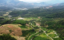 Gỡ nút thắt mặt bằng, tăng tốc đường liên vùng Khánh Hòa - Lâm Đồng - Ninh Thuận