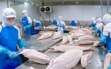 Việt Nam đón tin vui mới từ Nga
