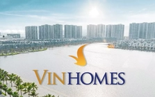 VinaCapital nói về tác động của cổ phiếu Vingroup