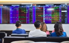 VinaCapital nói về tác động của cổ phiếu Vingroup