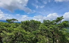 Phong Nha - Kẻ Bàng được công nhận là Khu Dự trữ sinh quyển thế giới