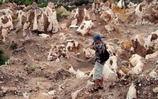Nauru - quốc gia từng giàu bậc nhất thế giới nhờ phân chim giờ thành bãi rác