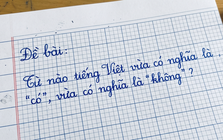 Trong tiếng Việt có một từ vừa là có vừa là không