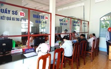 Bộ Nội vụ hướng dẫn tổ chức đơn vị sự nghiệp công lập đa ngành, đa lĩnh vực ở cấp xã
