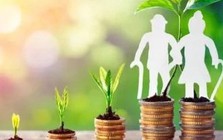 Thông tư số 14/2026/TT-BNV quy định chi tiết việc điều chỉnh lương hưu, trợ cấp bảo hiểm xã hội, trợ cấp hằng tháng