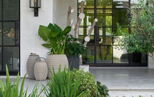 Lời khuyên dành cho những gia đình trồng cây trước nhà