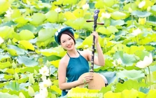 Đắm đuối mùa sen Hà Nội