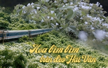Việt Nam có cung đường đang xảy ra hiện tượng "tuyết mùa hè" phủ trắng đèo đẹp như phim